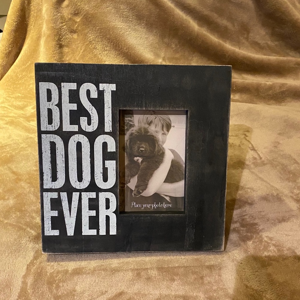 Best Dog Ever Photo Box Frame, 10" x 10"